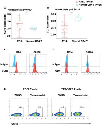 The Chemokine Receptor CCR8 Is a Target of Chimeric Antigen T Cells for Treating T Cell Malignancies